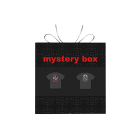 Mystery Scout Crate